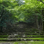 เกียวโต: คู่มือฉบับสมบูรณ์เกี่ยวกับเมืองหลวงโบราณของญี่ปุ่น (2)